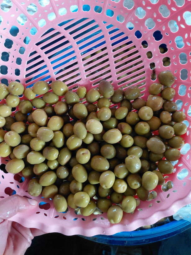 زیتون کنسروی مانزانیلا سوپر ویژه طارم 3کیلویی،سایز 7و8 گوشتی با هسته ریز.درشت ترین سایز فوق العاده،تضمینی