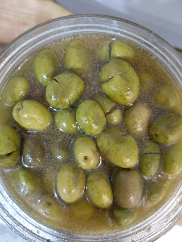 زیتون شکسته ارگانیک محلی ویژه 3 کیلویی نژاد مانزانیلا سایز 5،6،7 چرب